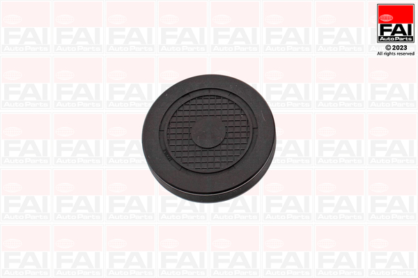 FAI AutoParts RMG880C Τάπα, τρύπα τοποθέτησης άξονα των πλήκτρων των βαλβίδων for DACIA NISSAN OPEL RENAULT VAUXHALL