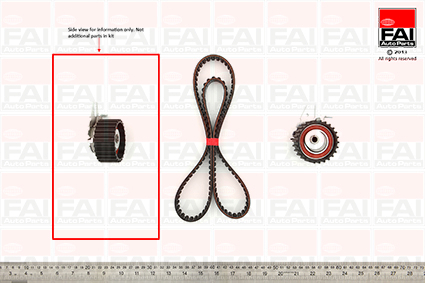 FAI AutoParts TBK75 Timing Belt Kit for FIAT LANCIA