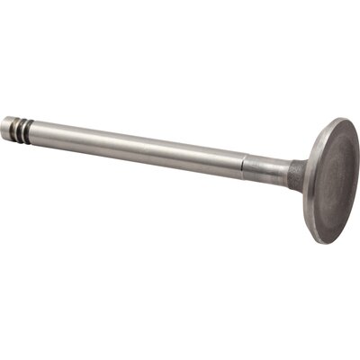 JP GROUP 8111300406 JOPEX Intake Valve for VW