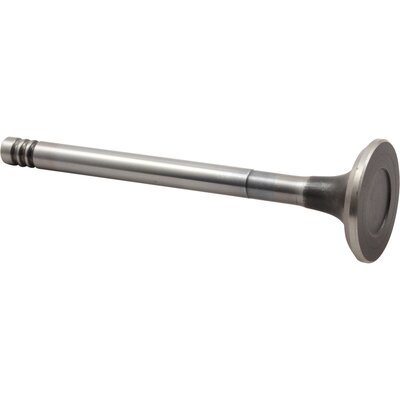 JP GROUP 8111301106 JOPEX Βαλβίδα εξαγωγής for VW