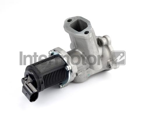 INTERMOTOR 14309 EGR Valve