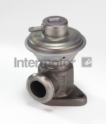 INTERMOTOR 14347 EGR Valve