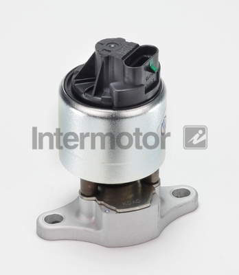 INTERMOTOR 14353 EGR Valve