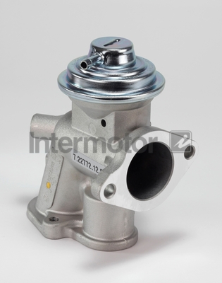 INTERMOTOR 14359 EGR Valve