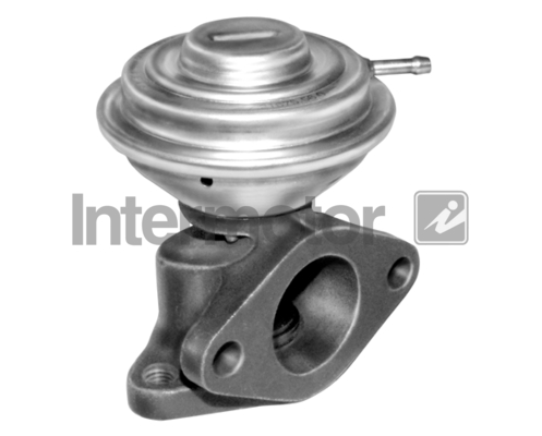 INTERMOTOR 14909 EGR Valve