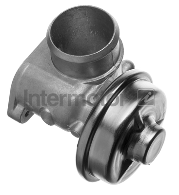 INTERMOTOR 14941 EGR Valve