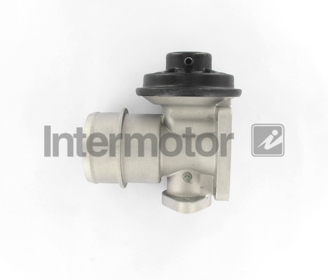 INTERMOTOR 18079 EGR Valve