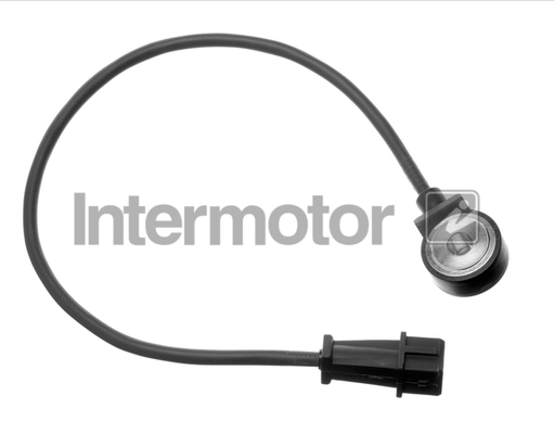 INTERMOTOR 19513 Knock Sensor