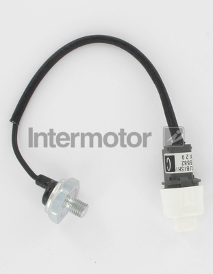 INTERMOTOR 19590 Knock Sensor