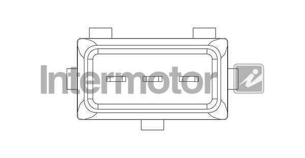 INTERMOTOR 19645 Air Mass...