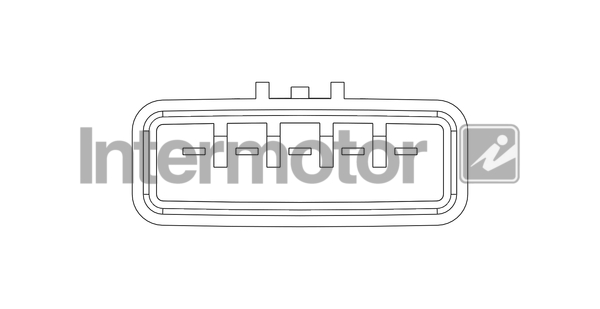 INTERMOTOR 19744 Air Mass...