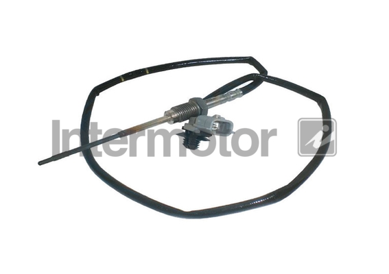 INTERMOTOR 27122 Sensor,...