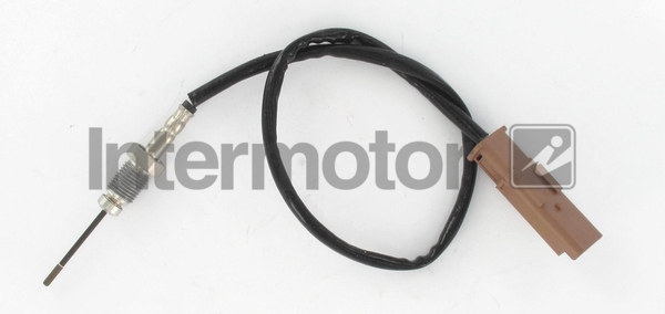 INTERMOTOR 27302 Sensor,...