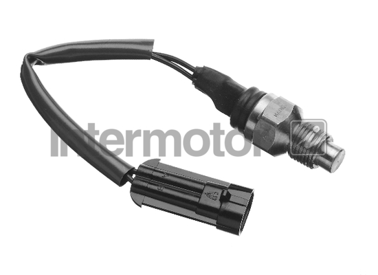 INTERMOTOR 53244 Sensor,...