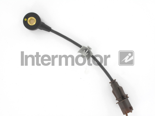 INTERMOTOR 70055 Knock Sensor