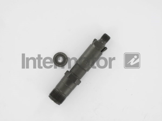 INTERMOTOR 87021 Nozzle and...