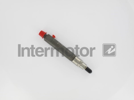 INTERMOTOR 87100 Nozzle and...