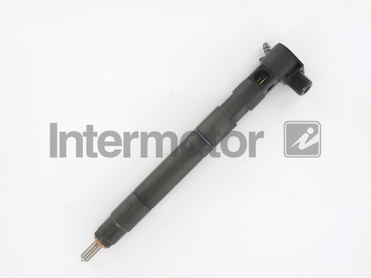 INTERMOTOR 87369 Nozzle and...