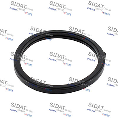 SIDAT 94.01698 Garnitura termostat