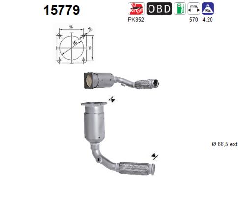 AS 15779 Catalizzatore