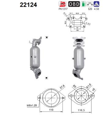 AS 22124 Catalizzatore