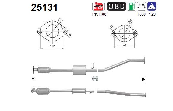 AS 25131 Catalizzatore