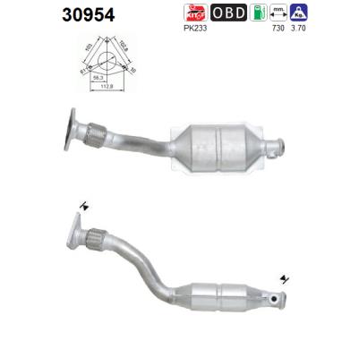 AS 30954 Catalizzatore
