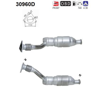 AS 30960D Catalizzatore