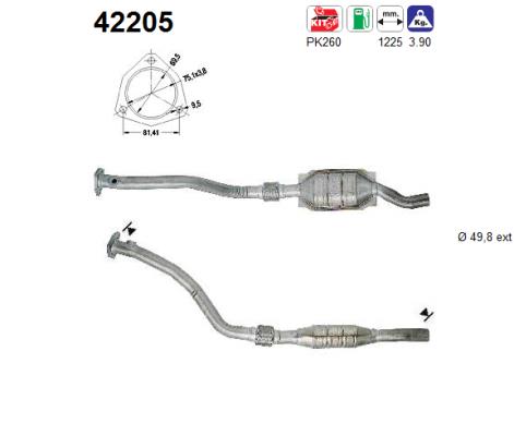 AS 42205 Catalizzatore