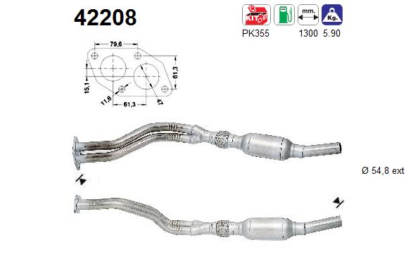 AS 42208 Catalizzatore