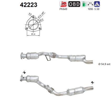 AS 42223 Catalizzatore