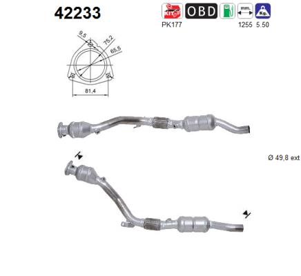 AS 42233 Catalizzatore