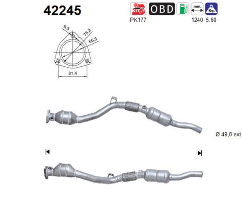 AS 42245 Catalizzatore