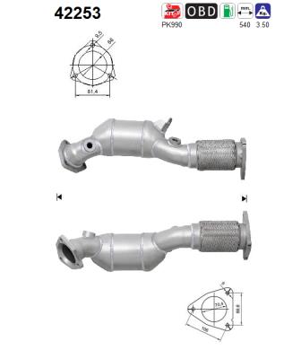 AS 42253 Catalizzatore