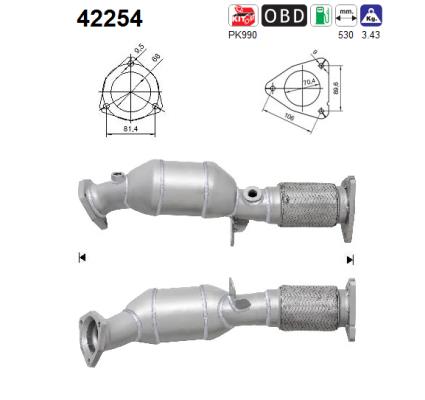 AS 42254 Catalizzatore