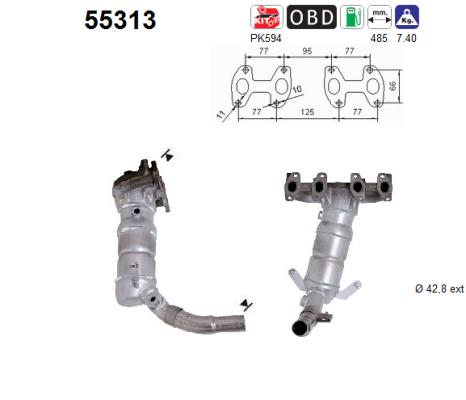 AS 55313 Catalizzatore