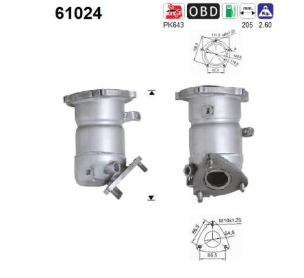 AS 61024 Catalizzatore