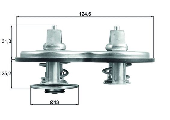 MAHLE TX 141 83 termosztát,...