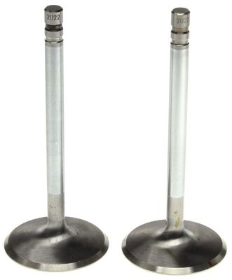 Intake Valve