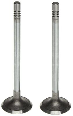 Intake Valve