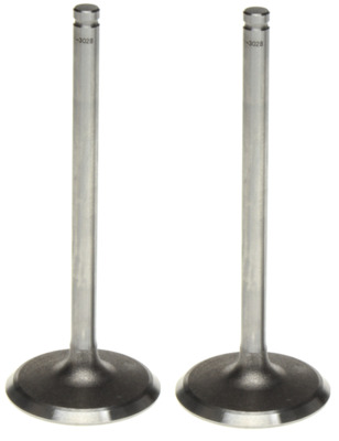 Intake Valve
