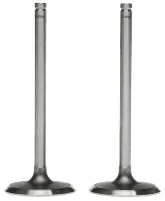 Intake Valve 2
