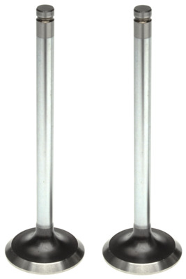 Exhaust Valve