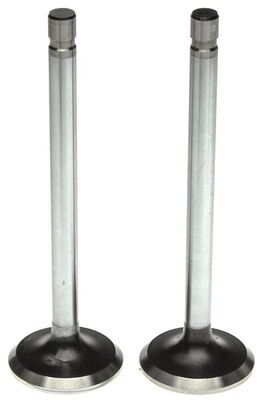 Exhaust Valve