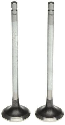 Exhaust Valve