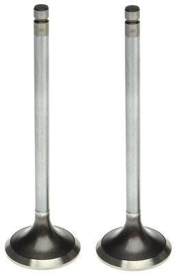 Exhaust Valve