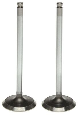 Intake Valve