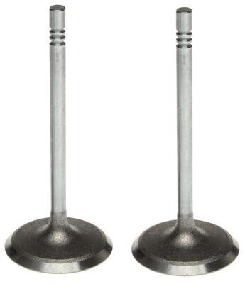 Intake Valve