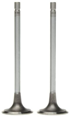 Intake Valve 2
