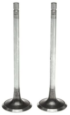 Exhaust Valve